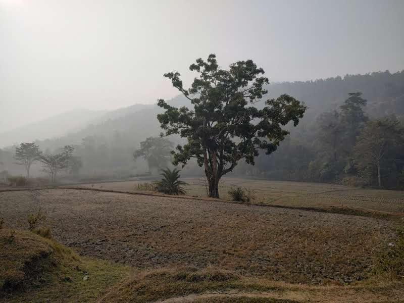 Kurchi Homestay Ghatshila ภายนอก รูปภาพ